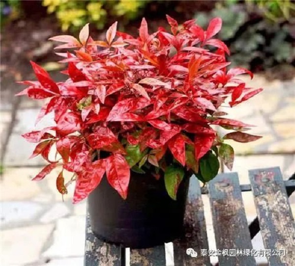 微信圖片_20220723161406