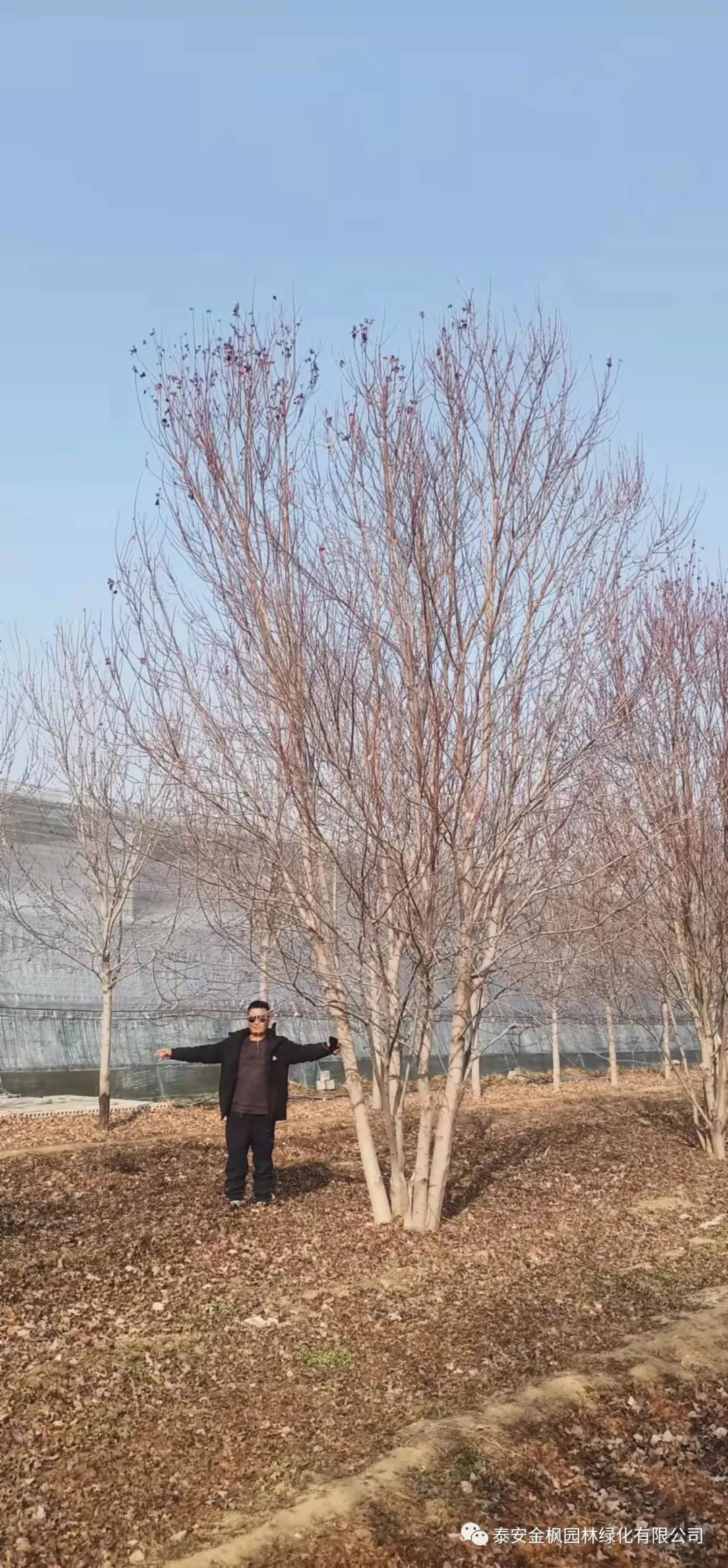 微信圖片_20230130101822 微信圖片_20230130101822